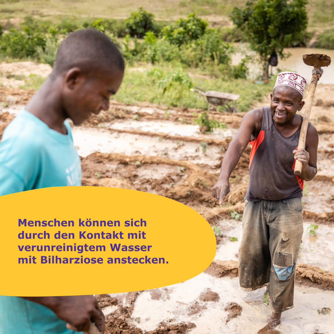 Slider – Zwei Milliarden gespendete Tabletten zur Bekämpfung von Bilharziose (Textslide)
